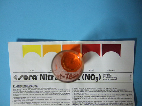 SERAの硝酸塩試薬（NO3 Test）の試験管を上から覗き込んで色を比較します。